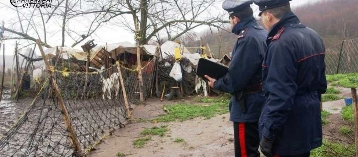 Carabinieri Vittoria (RG) pascolo abusivo