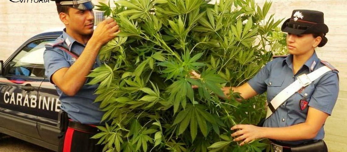 Chiaramonte Gulfi (RG) Carabinieri sequestro marijuana