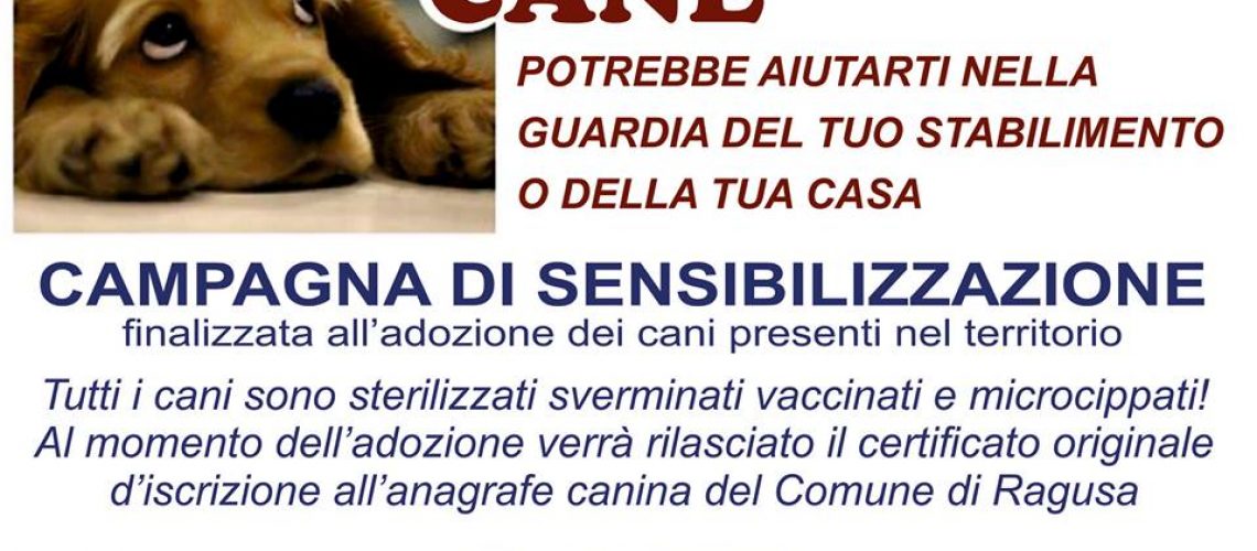 Il manifesto della campagna di sensibilizzazione