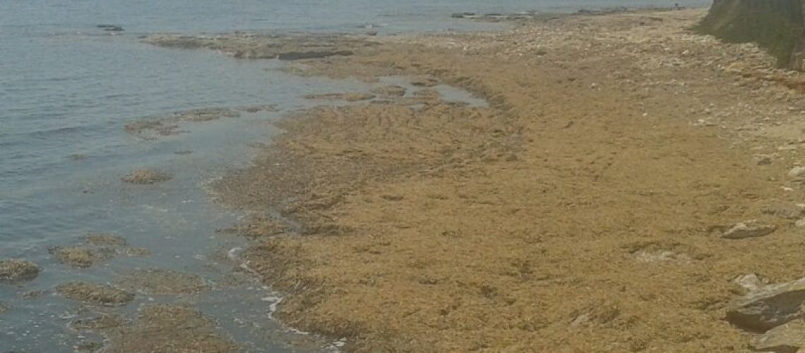 La spiaggia di Punta di Mola oggi