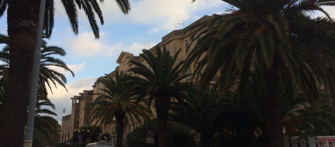 Le palme della zona di piazza del Popolo