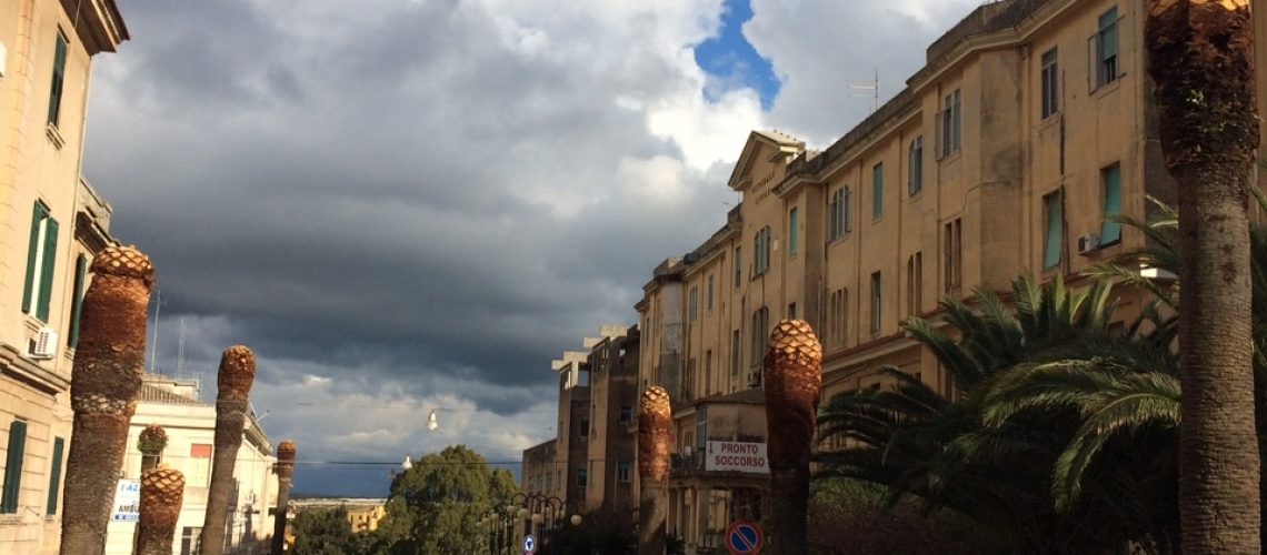 Palme decapitate in piazza Caduti di Nassirya