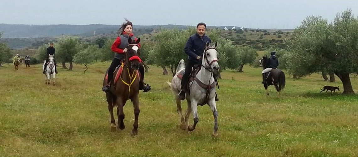 Un equiraduno Ippos