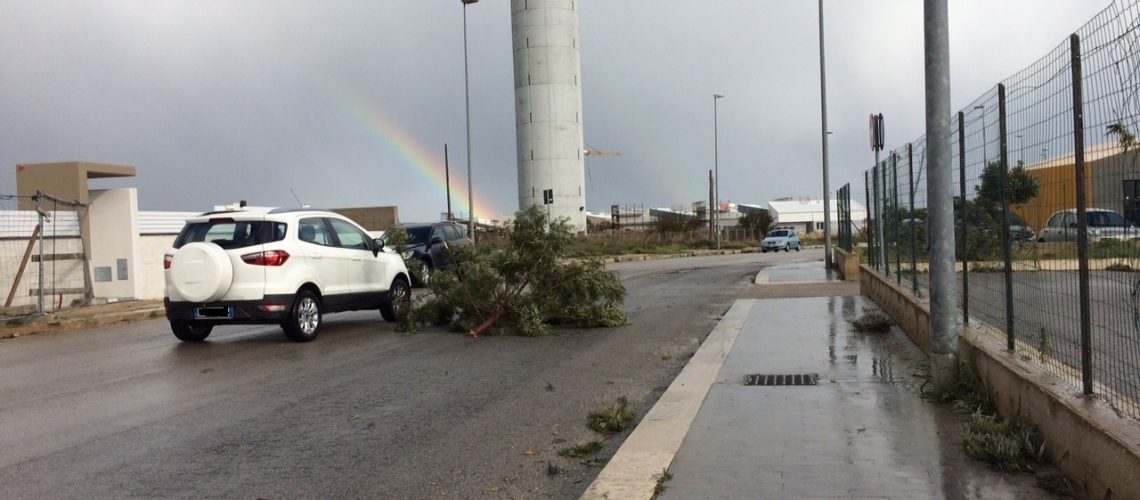 Via Rumor parti di albero sulla sede stradale