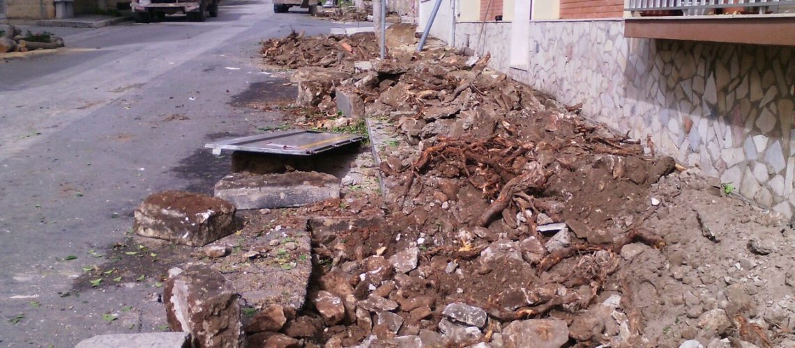 Via del Mare i lavori di rimozione degli alberi 2