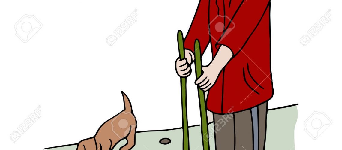 An image of man picking up dog poop.