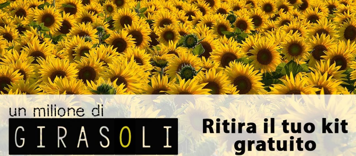 girasoli_modica