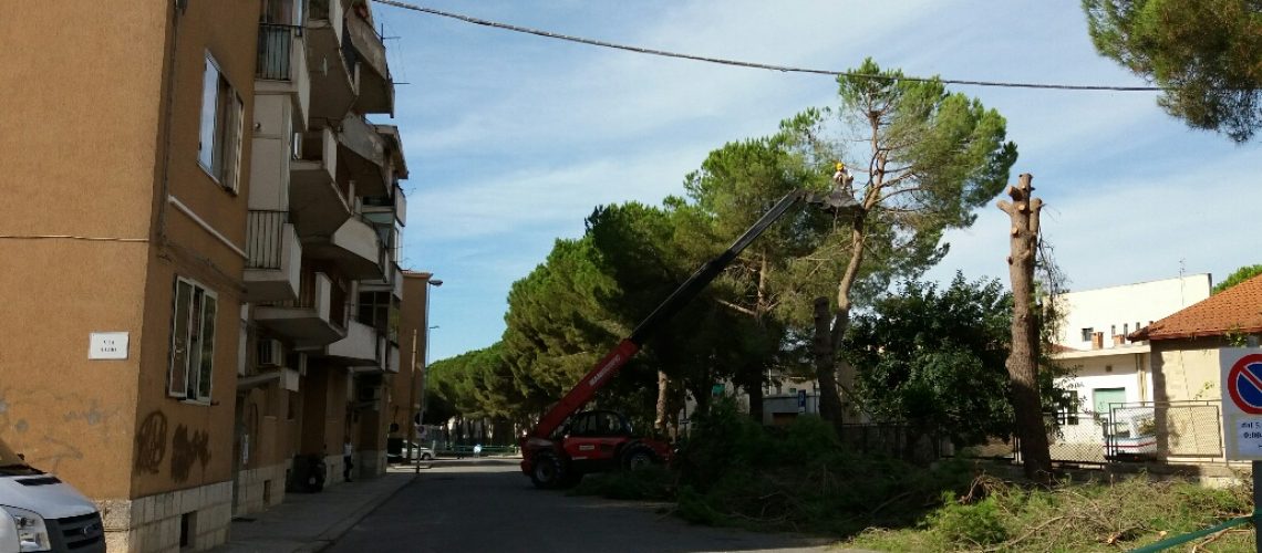 viale fabrizio